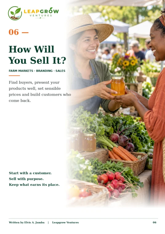 Cover of How Will You Sell It?